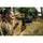 Nikon NIKKOR Z DX 16-50mm f/2.8 VR Lens