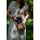 Nikon NIKKOR Z DX MC 35mm f/1.7 Objectif
