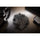 Zoom Instamic Hairy Windshield for Instamic Recorder (Black)