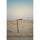 Kodak Professional Portra 400 Color Negative Film (35mm Roll Film, 36 Exposures, 5-Pack)