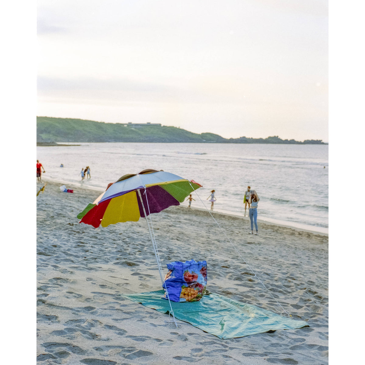 Kodak Professional Portra 400 Color Negative Film (35mm Roll Film, 36 Exposures, 5-Pack)
