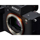 Sony Alpha a7R VI Full-frame Mirrorless Camera