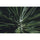 Tamron 17-70mm f/2.8 Di III-A VC RXD Lens (Nikon Z)
