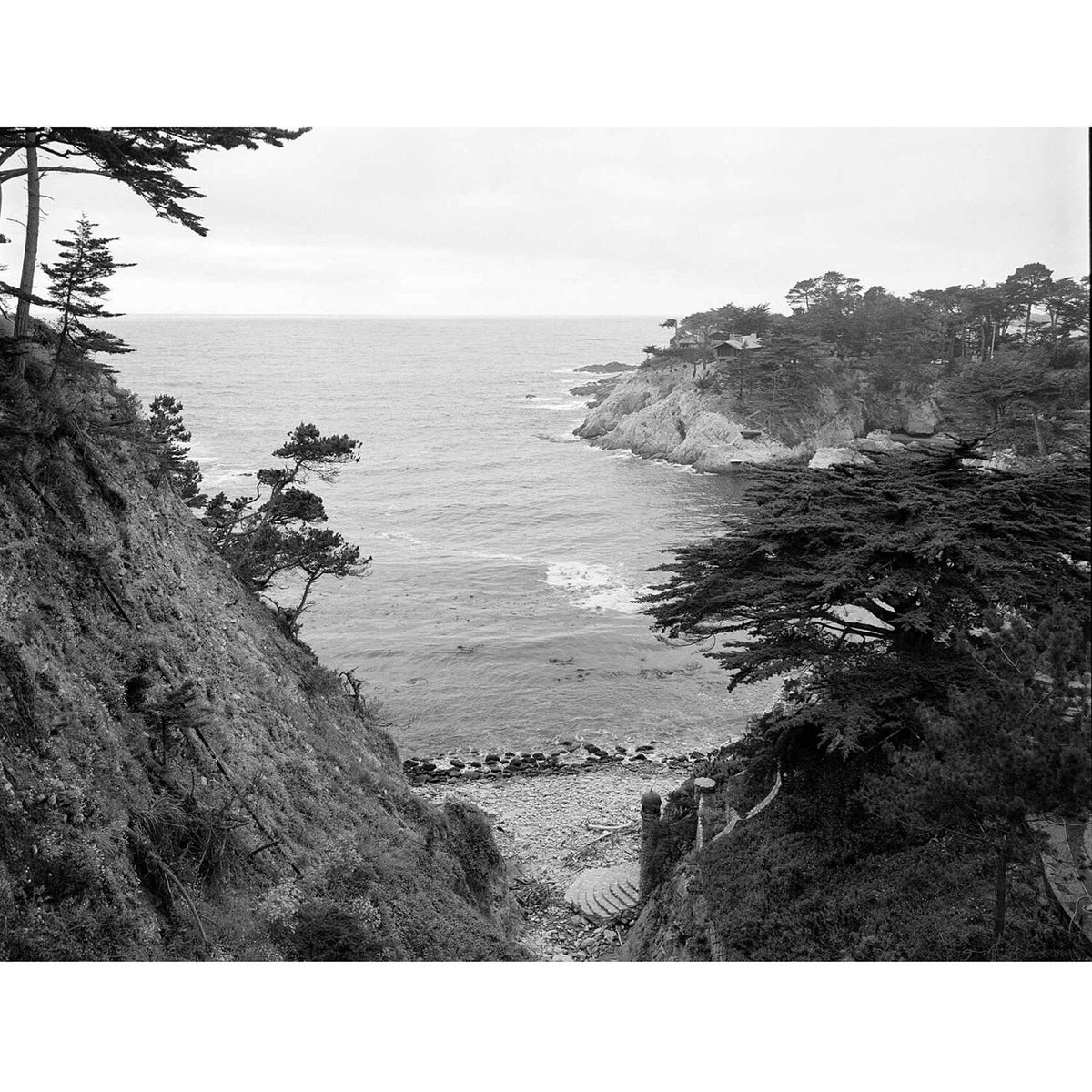 Kodak Ektapan 400 Black and White Negative Film (35mm Roll Film, 100' Roll)