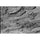 Kodak Ektapan 100 Black and White Negative Film (4 x 5", 10 Sheets)