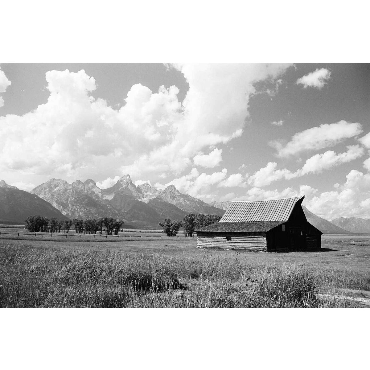 Kodak Ektapan 100 Black and White Negative Film (4 x 5", 10 Sheets)