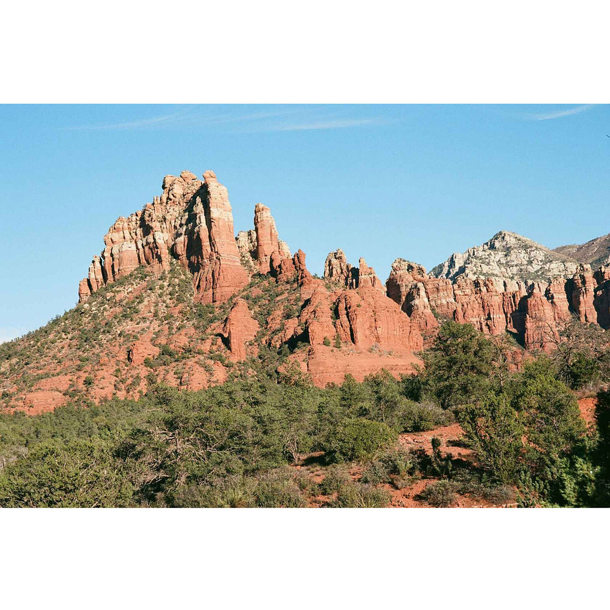 Kodak Ektar 100 Color Negative Film (4 x 5", 10 Sheets)