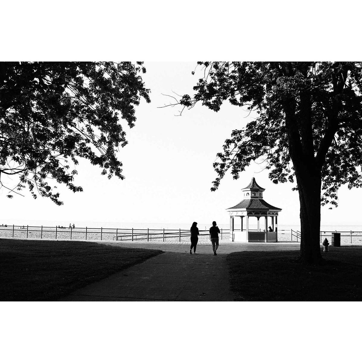 Kodak Ektapan 400 Black and White Negative Film (4 x 5", 10 Sheets)