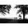 Kodak Ektapan 400 Black and White Negative Film (4 x 5", 10 Sheets)