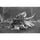 Kodak Ektapan 400 Black and White Negative Film (4 x 5", 10 Sheets)