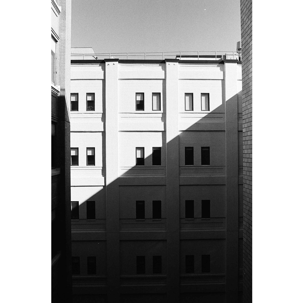 Kodak Professional Tri-X 400 Black and White Negative Film (35mm Roll Film, 100' Roll)
