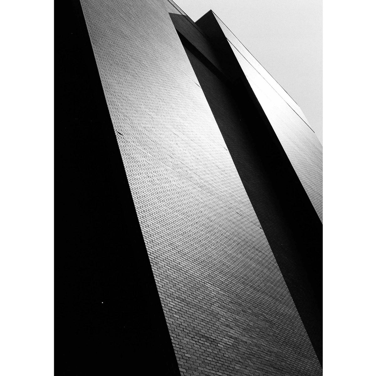 Kodak Professional Tri-X 320 Black and White Negative Film (5 x 7", 50 Sheets)