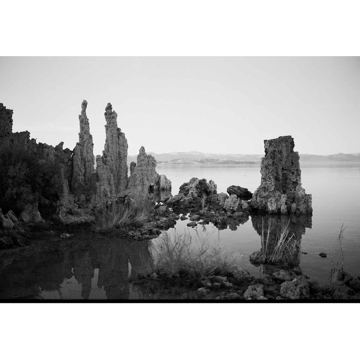 Kodak Ektapan 100 Black and White Negative Film (35mm Roll Film, 100' Roll)