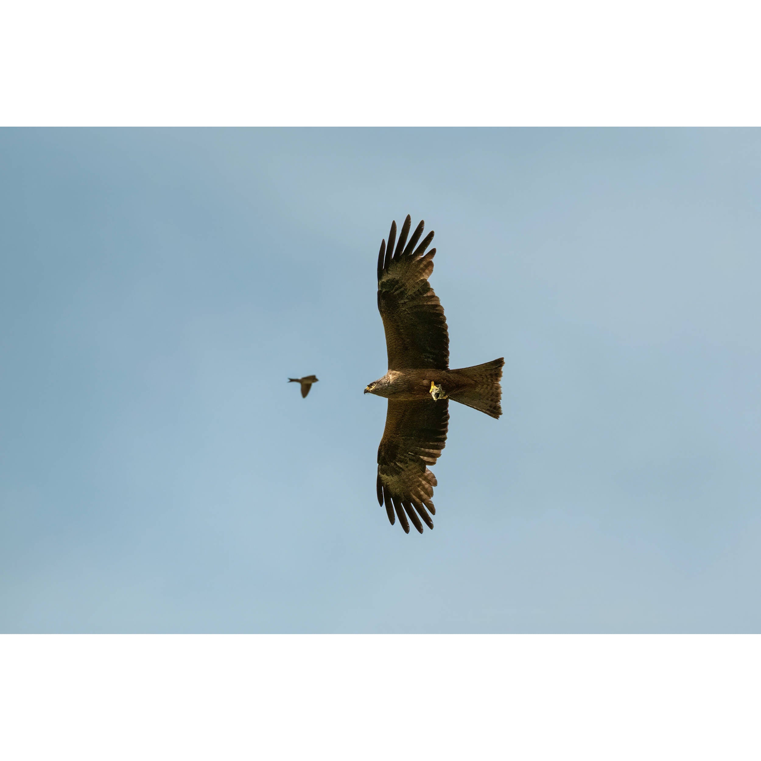 FUJIFILM XF 400mm f/4.5 R LM OIS WR Lens