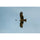 FUJIFILM XF 400mm f/4.5 R LM OIS WR Lens