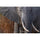 FUJIFILM XF 400mm f/4.5 R LM OIS WR Lens