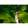 Objectif Sigma 85 mm f/1,2 DG Art (monture Sony E)
