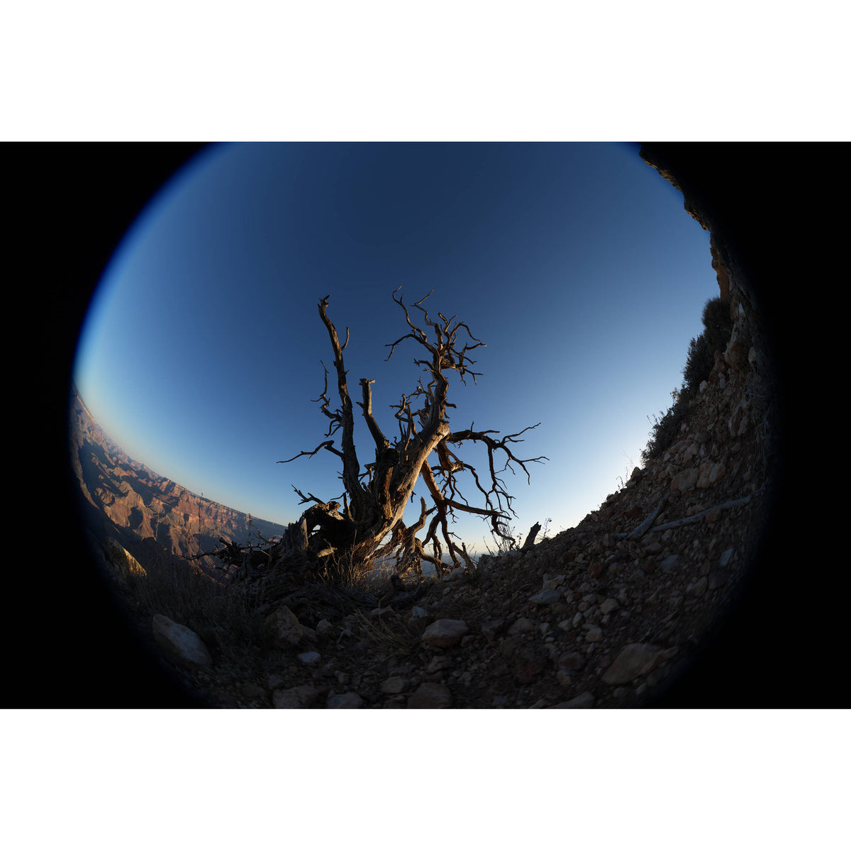 Sony FE 8-14mm f/3.5 Fisheye G Lens (Sony E)