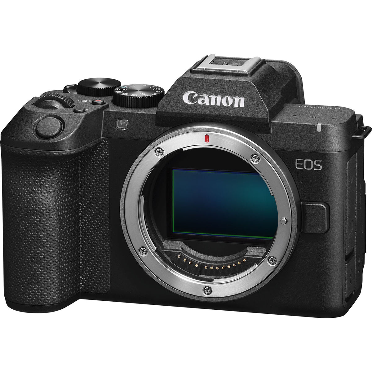 Canon EOS R8 Mark II Mirrorless Camera with 24-50mm f/4.5-6.3 IS STM Lens