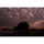 Sigma 16-300mm f/3.5-6.7 DC OS Contemporary Lens (Nikon Z)