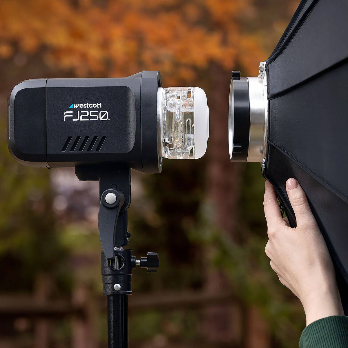 Westcott FJ250 250Ws Strobe with FJ-X3 S Trigger for Sony (Newborn Portrait Kit)