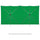 Westcott X-Drop Pro Wrinkle-Resistant Backdrop (Chroma-Key Green, 16 x 8')
