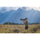 Nikon NIKKOR Z 120-300mm f/2.8 TC VR S Lens (Nikon Z)