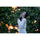 Nikon NIKKOR Z 50mm f/1.4 Lens (Nikon Z)