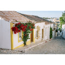 Nikon Nikkor Z 50 mm f / 1,4 Objectif (Nikon Z)