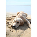 Nikon Nikkor Z 50 mm f / 1,4 Objectif (Nikon Z)