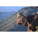 Nikon NIKKOR Z 70-200mm f/2.8 VR S II Lens (Nikon Z)