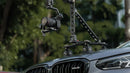 Tilta Hydra M25 Mounting Bracket for Electronic Suction Cup (6″)