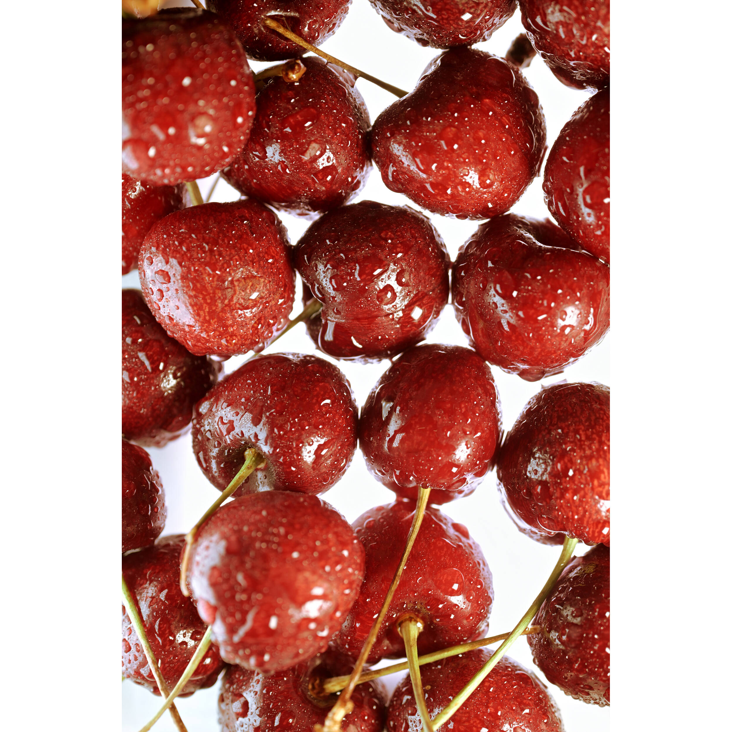 Nikon Z50 II Mirrorless Camera - Body Only