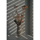 Nikon Z50 II Mirrorless Camera - Body Only