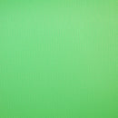 Savage Solid Vinyl Background - 10 x 20' Chroma Green