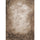TELLE DE TOLVAS DE TROUPE DE WESTCOTT X - Latte rustique (5 'x 7')