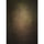 Tell en vinyle de Westcott X-Drop - chaud picineux par Joel Grimes (5 'x 7')
