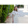 Canon RF 70-200mm f/2.8 L IS USM Z Lens (Black, Canon RF)