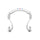 Urbanears Stadion BT Earphones Team- Open Box
