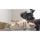 Canon RF-S 7.8mm f/4 STM Dual Lens (Canon RF)