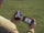 DJI Mini 5 Pro Drone