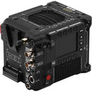 Cinéma numérique rouge V-Raptor [X] 8K VV caméra (Nikon Z)