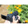 Canon RF 14mm f/1.4 L VCM Lens (Canon RF)