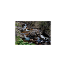 Polarpro ND1000 Quartzline Solid Neutral densité 3.0 et filtre de polariseur circulaire (10 arrêts) - 82 mm