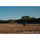 Tiffen FusionVND Glimmerglass + Variable ND Filter (82mm, Grade 1/2)