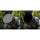 Hoya 52mm NXT Plus Circular Polarizer Filter