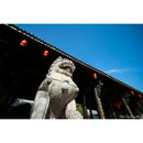 7artisans Photoelectric 7.5mm f/3.5 Fisheye Lens (Nikon F)