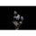 Sigma 135mm f/1.4 DGArt Objectif (Montage en L)