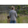 Sigma 135mm f/1.4 DGArt Objectif (Montage en L)