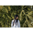 Sigma 17-40 mm f / 1,8 dc art Objectif (Canon RF)